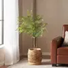 Green Color