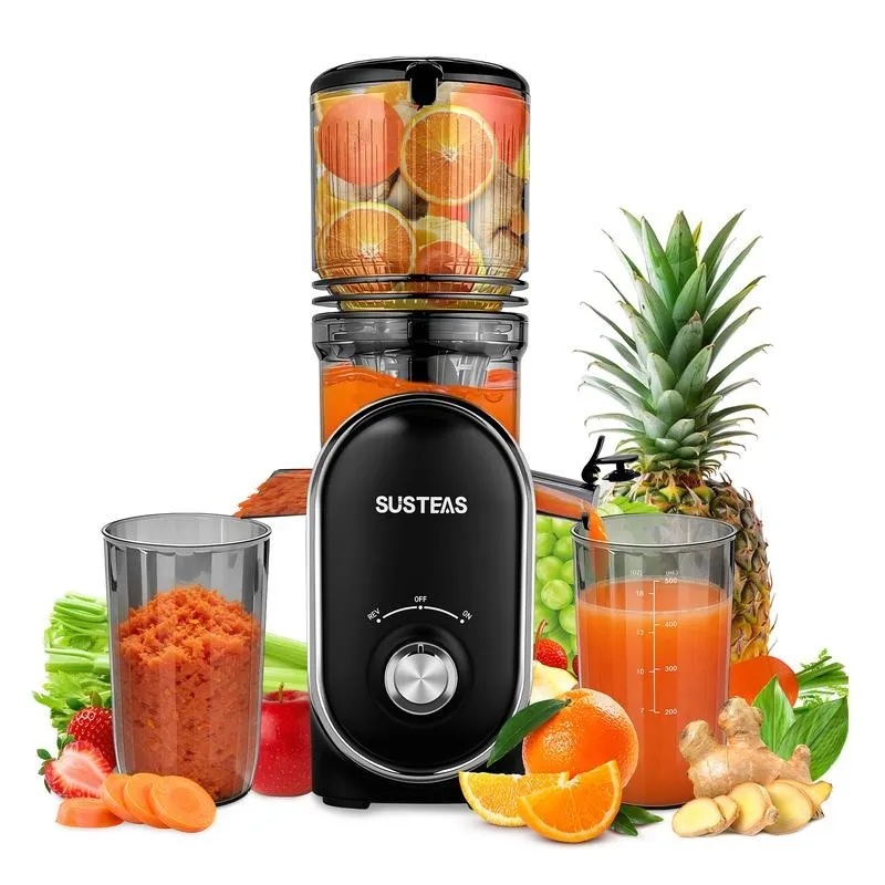 Whole Fruit Juicer Main Image