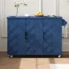 Navy Blue Color
