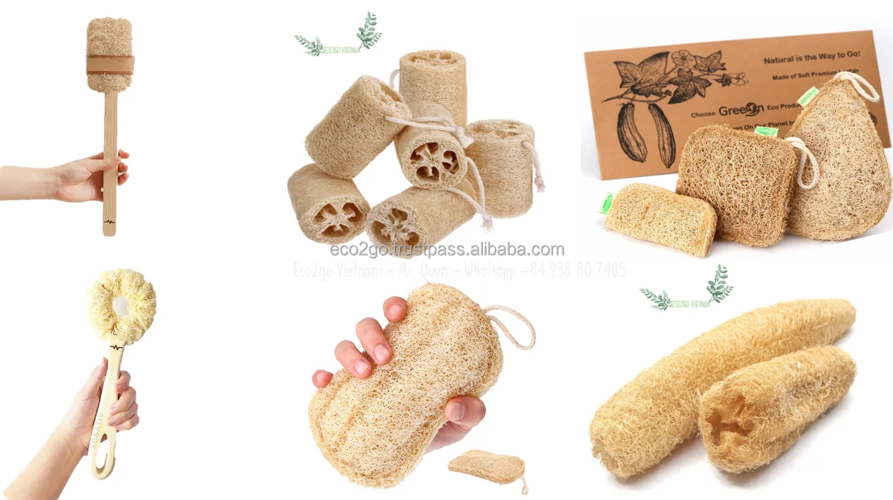 Natural Exfoliating Loofah Sponges For Body And Face With Free Sample