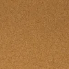 Cork SteamBeach
