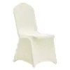 Ivory White Color