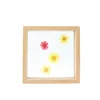 3.5*5inch(9.2*13.2cm)