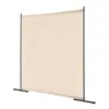 Beige Color