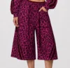 Pink Leopard