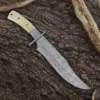 Ciruela