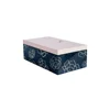 สีฟ้า