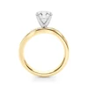 18kt Gold