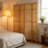 Beige Color
