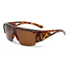 C6: Tortoise/ Brown
