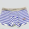 Stripe