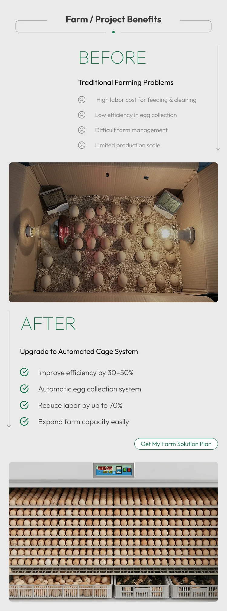 Hatchery Incubator Equipment