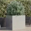 Silver1