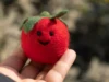 Tomate avec un sourire