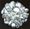 White, Sold by Weight(grams), 12 to 14 pcs per 100g