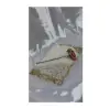 same as image