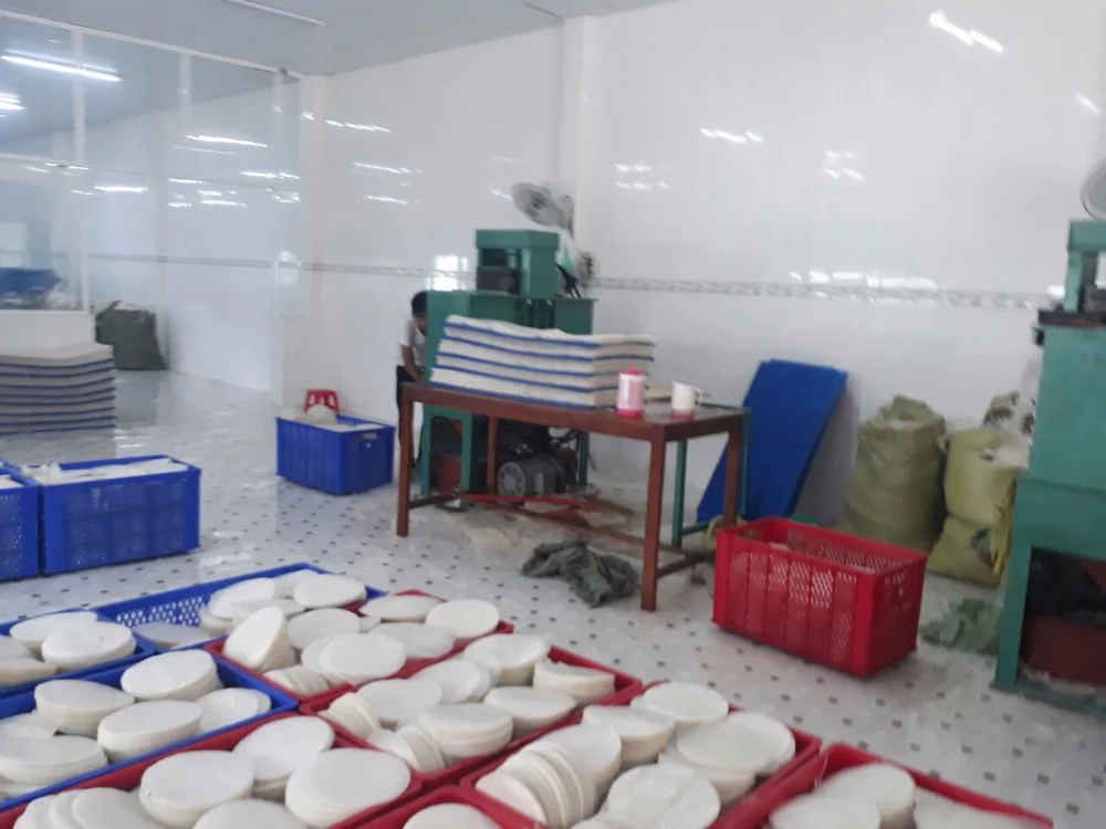 WHOLESALE VIETNAMESE RICE PAPER VERMICELLI /RICE WRAPPER FOR FRESH SPRING ROLL 22CM 20CM 16CM W/A: 0084909740687