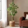 Green Color