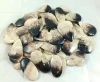 Black and Brown, Sold by Weight(grams), 12to14pcs per 100g