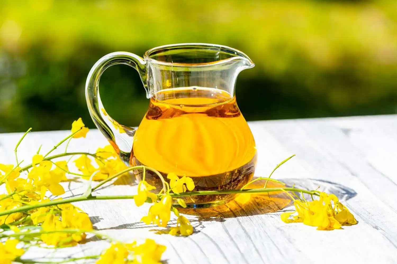 Wholesale Cheap Supplier Hot Selling High Quality 100% Purity Organic ISO Certified Canola Oil Bulk Fast Delivery Buy Now! Top