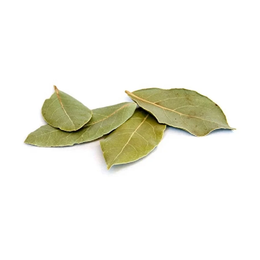 越南最优质的干月桂树 Sarah Buy 优质天然绿色有机干月桂叶月桂叶99 Sweet Bay月桂叶 最佳绿色干燥月桂叶 Laurel Product On Alibaba Com 越南最优质的干月桂树 Sarah Buy 优质天然绿色有机干月桂叶月桂叶99 Sweet Bay月桂叶 最佳绿色干燥月桂叶 Laurel Product On Alibaba Com