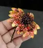 Multi