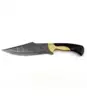 Deep Gloss Black, Polished Gold Brass