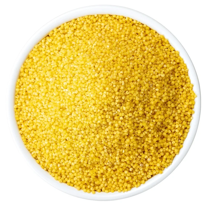 Wholesale 100 Natural Dried Whole Millet Grains With Cheap Price