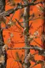 bosque naranja fluorescente