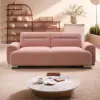 Pink Color