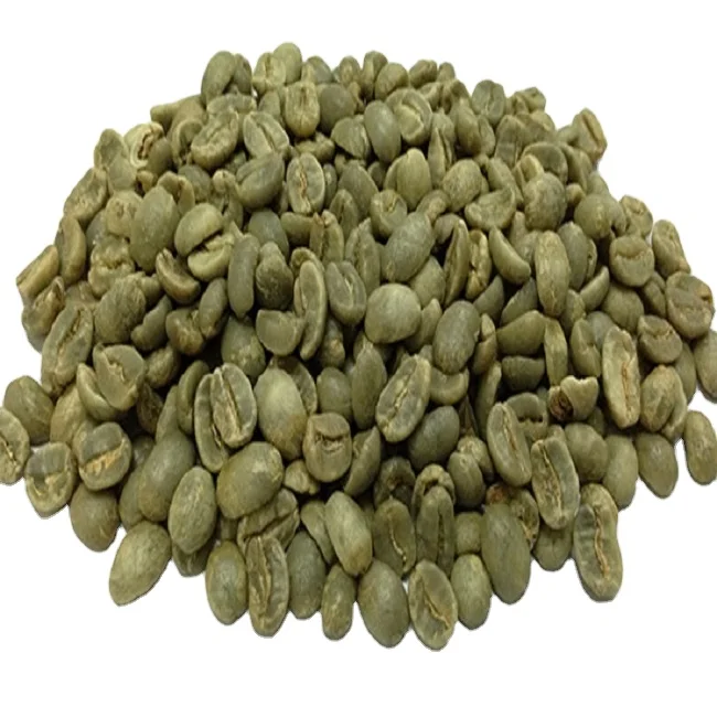 Unroasted good quality Robusta coffee beans