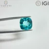 ไม่มีใบรับรอง IGI