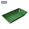 Verde claro