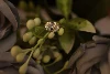 10kt Gold