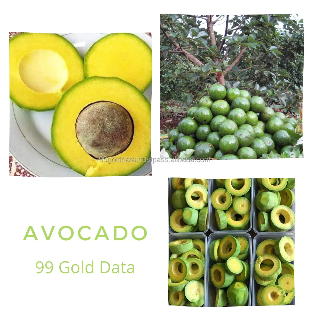 High Quality Frozen Avocado From 99 Gold Data In Vietnam Competitive