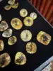 GOLD/YELLOW