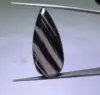 MULTICOLORE