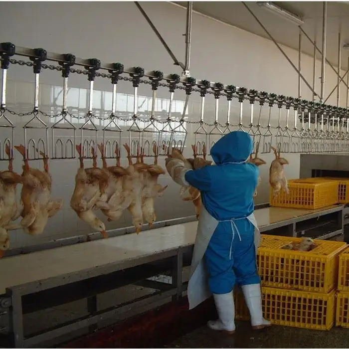 Complete Poultry Slaughtering Line - Turnkey solution for efficient processing