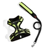 Fluorescent green