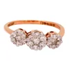Rose garance