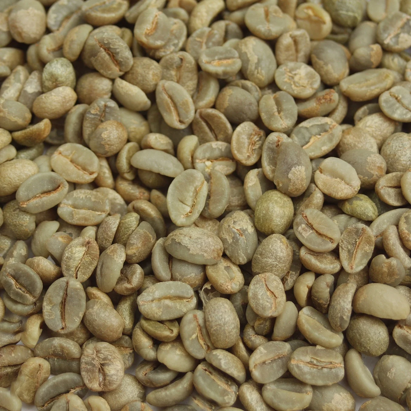 Цена необработанных зеленых и эфиопских нежареных кофейных зерен Арабики
