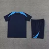Bleu foncé