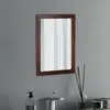 Red Color