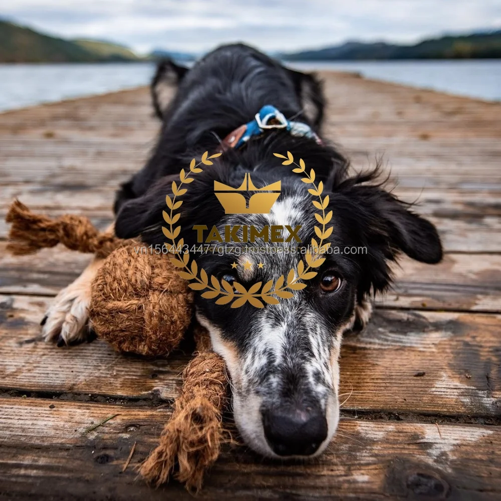 Vietnam Origin Coconut Fiber Dog Chew Toys From Coconut Fiber Dog Chew