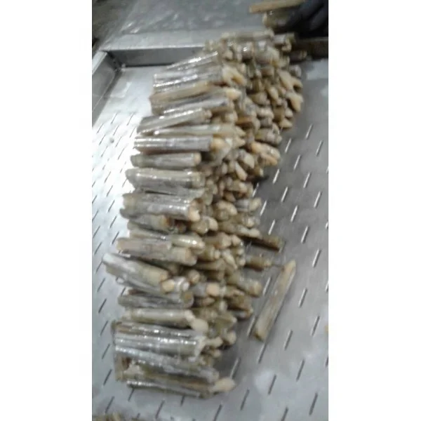 Razor Shell Clam Available From Pk For Buyers Buy Frozen Razor Clam