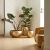 COMME ILLUSTRÉ