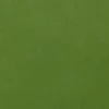 Parrot Green