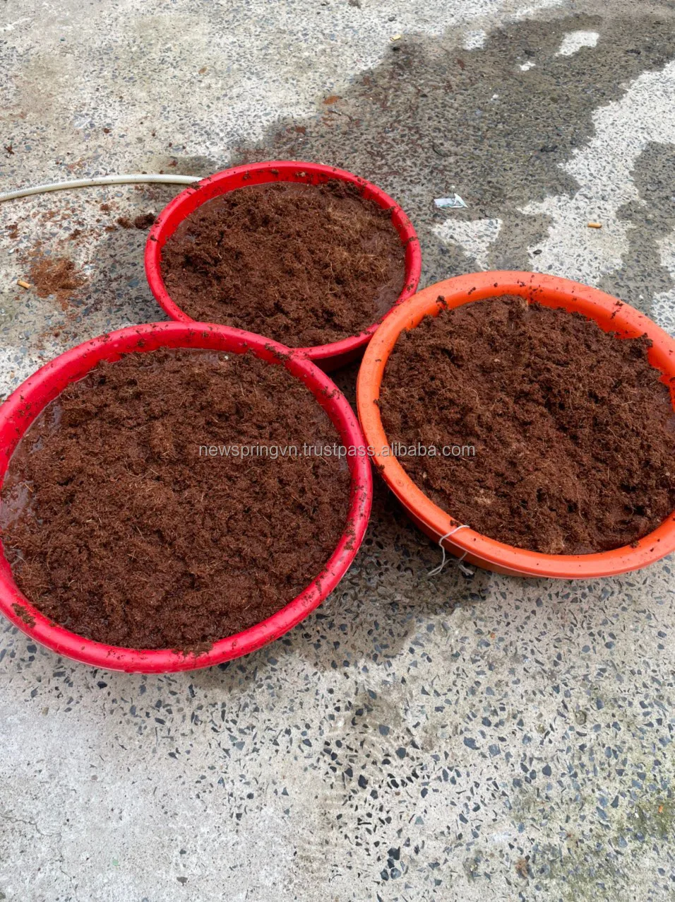 Coco Peat Coco Coir From Coconut Shell The Best Soil Moisturizer Cover