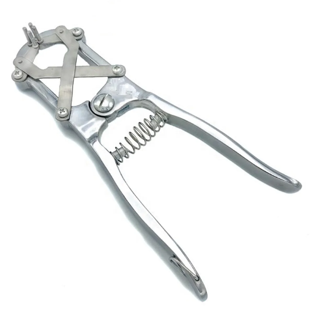 Ear Notcher | Animal Ear Notcher Plier for Notching | Pig Cattle Pliers Notches Clamp Veterinary Instruments
