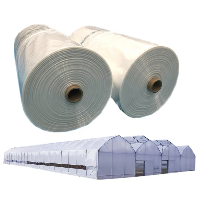 Rival Large Size 6Mil 150 Micron 200 Micron 250 Micron UV Blocking Diffusion Greenhouse Tunnel Poly Film 5 Years PE Plastic Shed